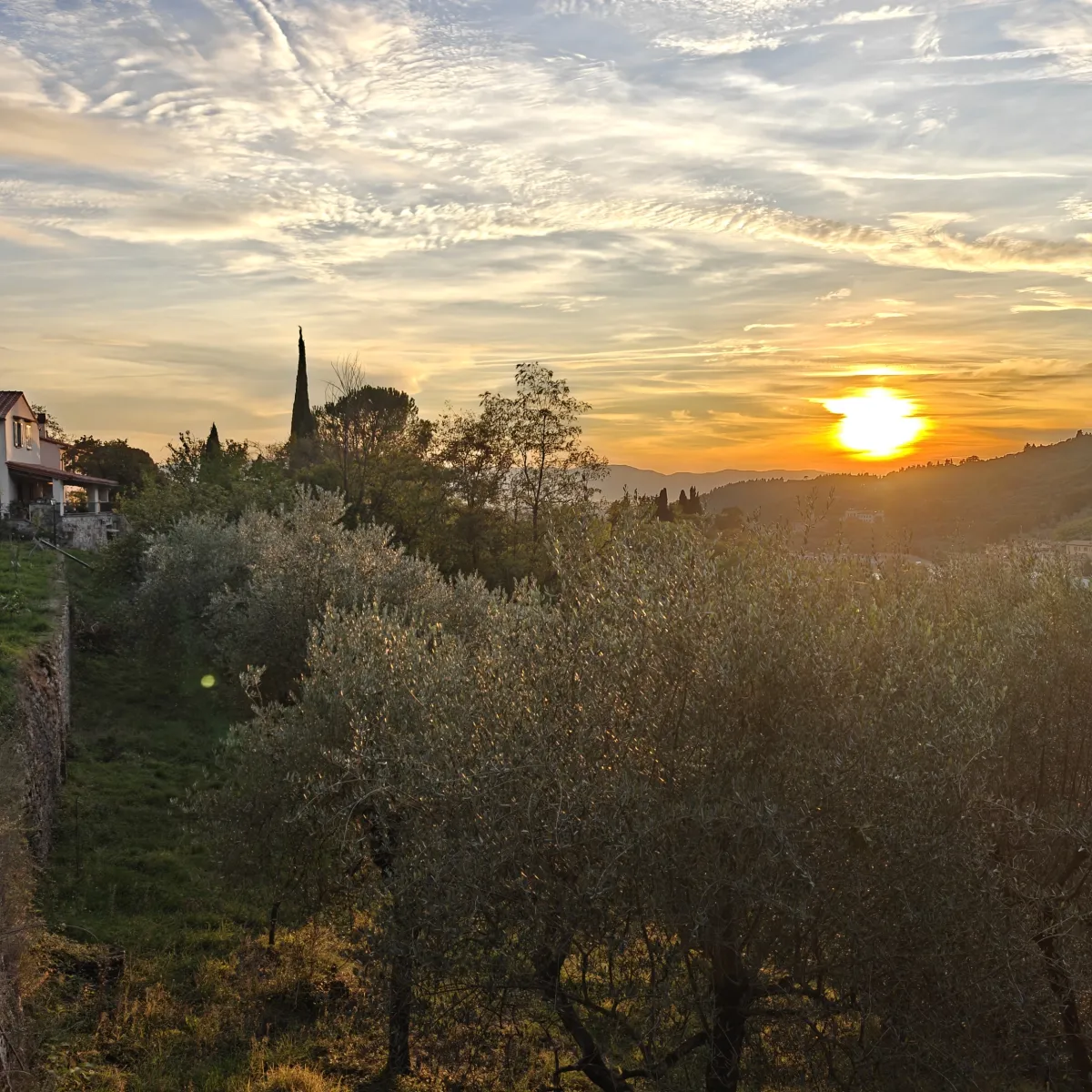 Img20251019180742